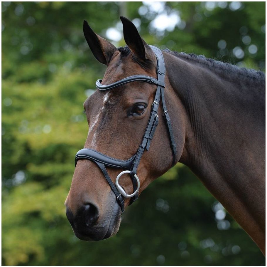 Collegiate Comfitec Vogue Anatomical Bridle 100637600 - Black